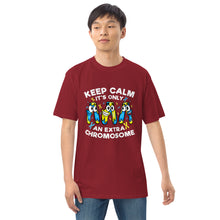 Load image into Gallery viewer, Keep Calm It's Only Extra Chromosome Men’s Premium Heavyweight Tee