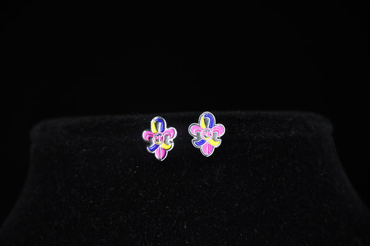 Post Earrings
