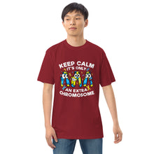 Load image into Gallery viewer, Keep Calm It&#39;s Only Extra Chromosome Men’s Premium Heavyweight Tee
